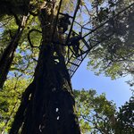 Photo taken by Darcy M