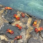 Photo taken by Lindsey F