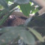 Photo taken by Alda Bernice M