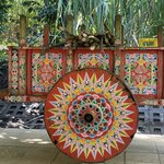 Photo taken by Alexia M