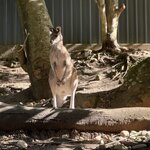 Photo taken by Lilly R