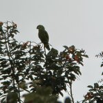 Photo taken by Steven C