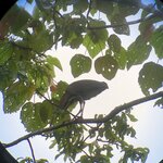 Photo taken by Anna L