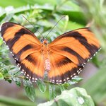 Photo taken by Graeme W