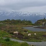 Photo taken by ruben k