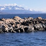 Photo taken by Kaitlin J