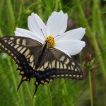 Photo taken by Jason P