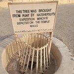 Photo taken by Kim M