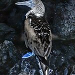 Photo taken by mindy n