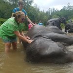 Photo taken by Michelle B