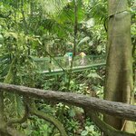 Photo taken by Tracye P