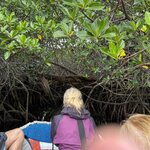 Photo taken by Gary W