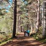 Photo taken by Danielle P