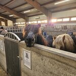 Photo taken by Linda W