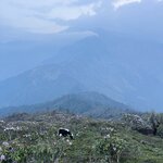 Photo taken by yancey A