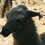 Photo taken by Kristin T