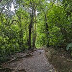 Photo taken by Jason C