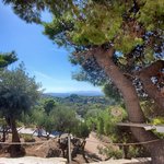 Photo taken by Patricia K