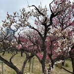 Photo taken by Daniel D