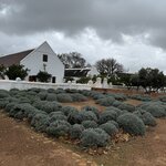 Photo taken by Ingenie D