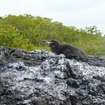 Photo taken by Steven M