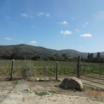 Photo taken by David & Sarah K