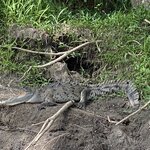 Photo taken by Donna G