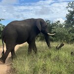 Photo taken by Crystall P