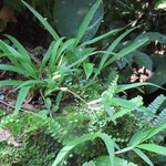 Photo taken by Pat K