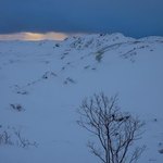 Sunlight peaking through | Photo taken by Grace L