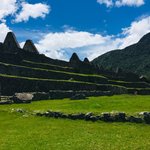 Wonder-full | Photo taken by Matt M