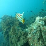 Photo taken by Susan & Bob M