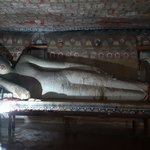 Photo taken by Dineia P