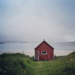 Photo taken by Dani L