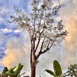 Photo taken by Ben B