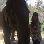 Photo taken by Terri M