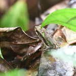 Photo taken by Graeme W