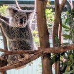 Photo taken by Judy H