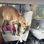 Photo taken by Wendell C