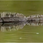 Photo taken by mindy n