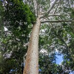 Photo taken by Daniel S