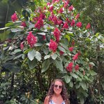 Photo taken by Andrew S