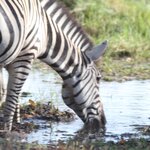 Photo taken by John B