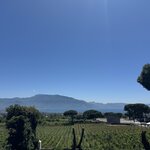 Photo taken by Charlotte B