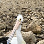 Photo taken by Amy Z