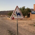 Photo taken by Lisa D