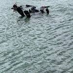 Photo taken by Deann M