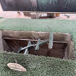 Photo taken by michelle K