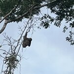 Photo taken by Deborah S