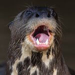 Photo taken by Matt W